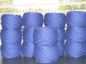DSCN5048