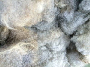 Stacy's Merino cross fleece