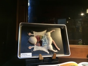 Knitted Dissected Rat