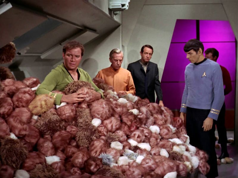 An iconic still from the original Star Trek series, season 2, episode 13: The Trouble with Tribbles. This is the first Star Trek episode about tribbles.