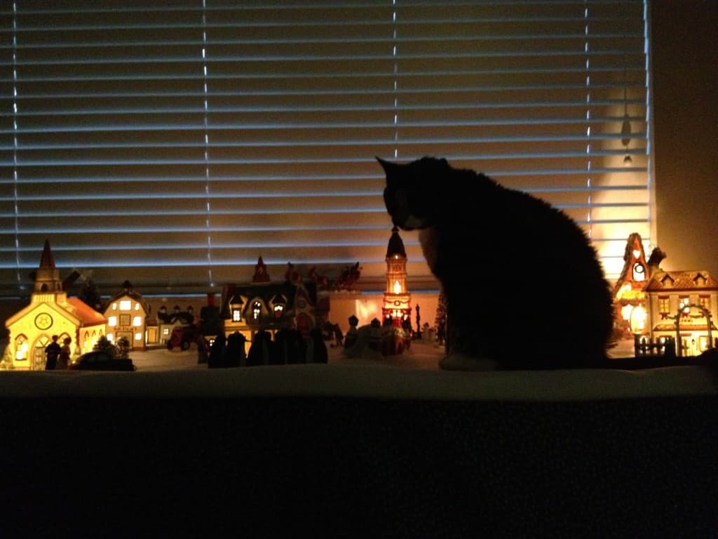 While its not a fibery picture, I love this photo of Pepper stalking the  Christmas village.