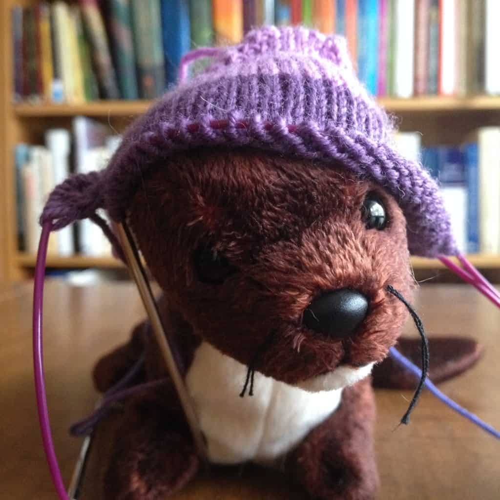 The Weasel wearing a sock toe hat.