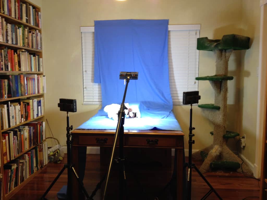 The other set was the Weasel's burrow.  This behind the scenes shot shows the burrow set up on my dining room table.